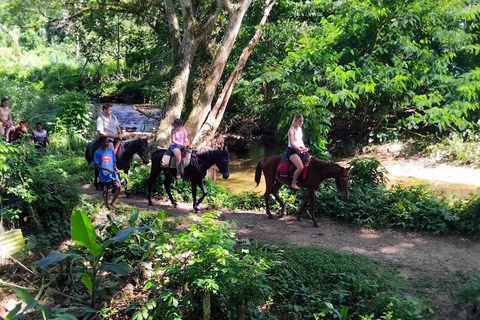 Największa tyrolka/Jaskinia i wodospad Biausevu Wycieczka odkrywczatylko hotele w rejonie wybrzeża koralowego (odbiór i transport powrotny)