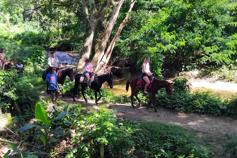 Największa tyrolka/Jaskinia i wodospad Biausevu Wycieczka odkrywczatylko hotele w rejonie wybrzeża koralowego (odbiór i transport powrotny)