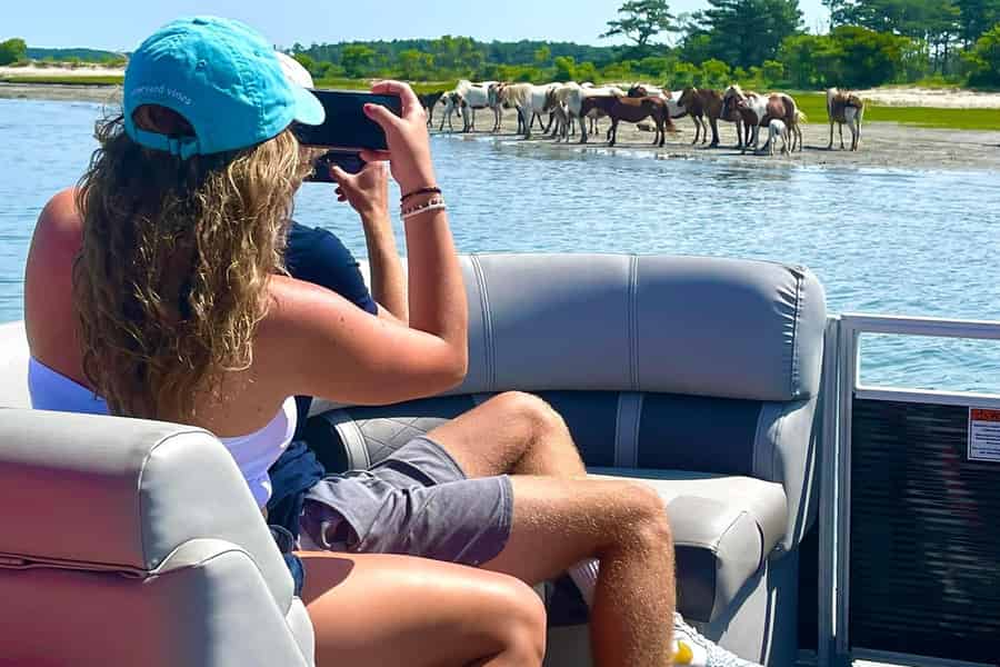 Bootstour zu den Inseln Chincoteague und Assateague mit Kapitän John. Foto: GetYourGuide