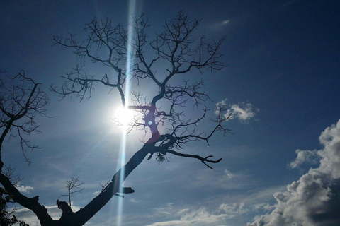 Lushoto: Soni Falls and Usambara Mountains Day Trip