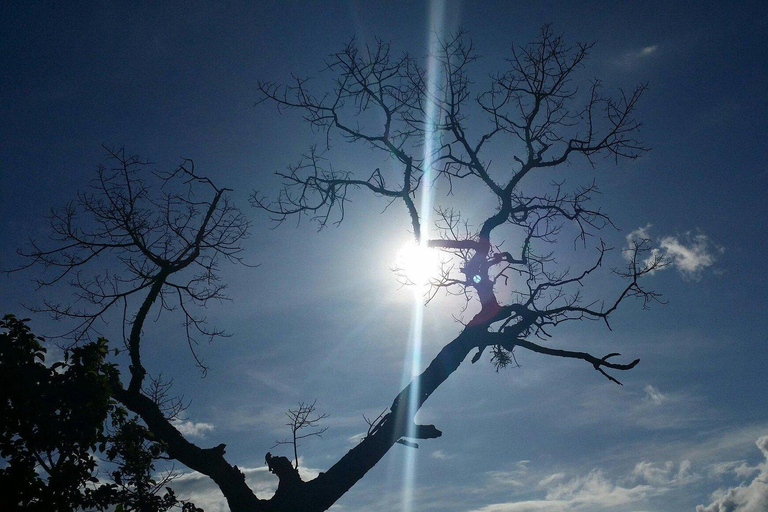 Lushoto: Soni Falls and Usambara Mountains Day Trip