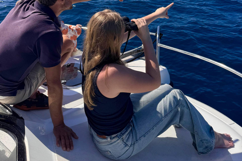 Calheta: Private Catamaran Tour - With Open Bar & Snacks Sunset Tour with Snorkeling & Paddleboarding/ Max 18 people