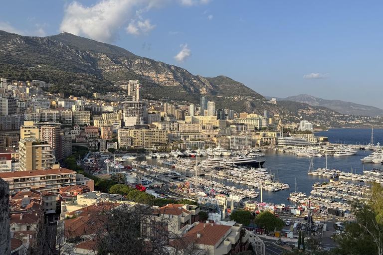 Monaco, Monte-Carlo & Eze Village Private Half-Day Tour LICENSED GUIDE + MERCEDES V