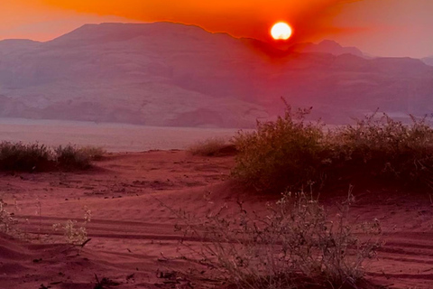 Wadi Rum: Hidden Valleys Tour with Bedouin Lunch