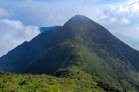Kandy: escursione di 2 giorni sul monte Knuckles e tour del villaggioKandy: escursione di 2 giorni sul monte Knuckles e tour dei villaggi