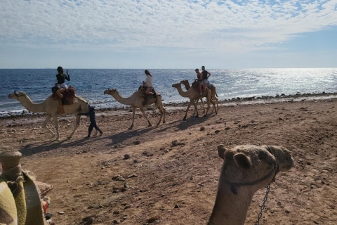 Sharm El Sheij: Cañón Rojo, Dahab y Quad por el Mar