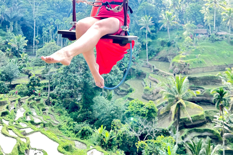 Ubud Waterfall, Temple, Rice Terrace & Art with Transfers