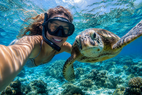 Mirissa Day Adventure: Whales, Beaches, Surfing & Sunset