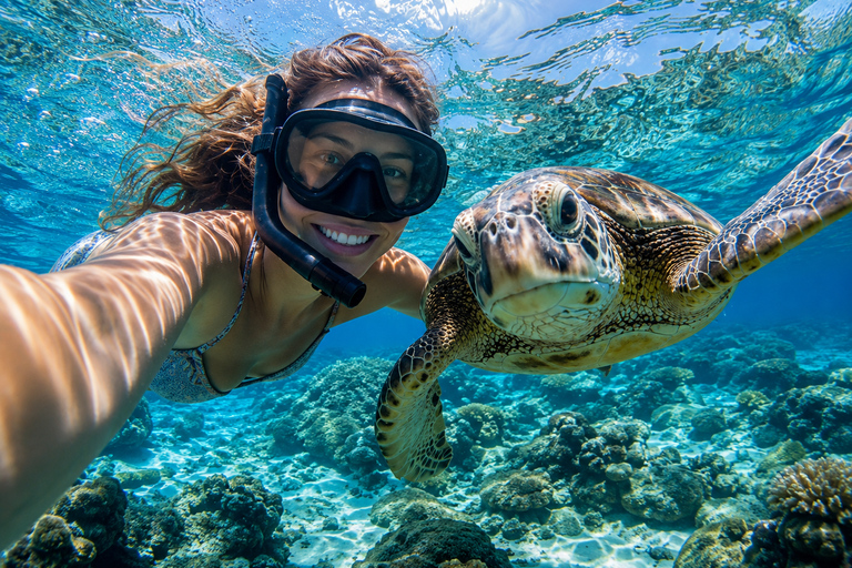 Mirissa Day Adventure: Whales, Beaches, Surfing & Sunset