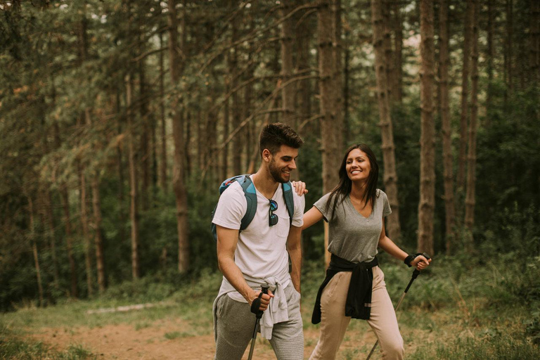 Tour di un giorno della città di Auckland e della foresta pluviale in macchina