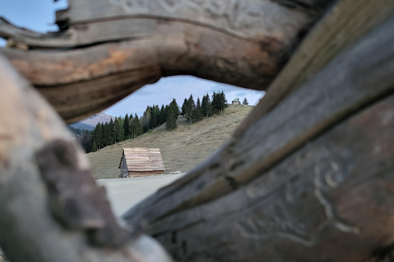 Transsilvanien enthüllt: Legenden, Erbe, echte ErlebnisseTranssilvanien wird enthüllt: Legenden, Erbe, echte Erlebnisse