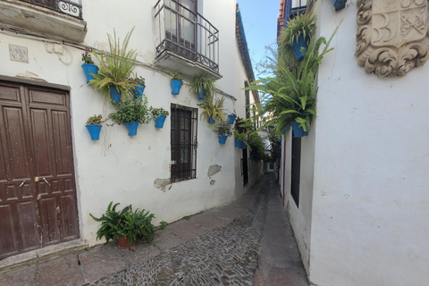 Córdoba wandeling halverwege de ochtend - Kleine groepen, Engels als moedertaal.