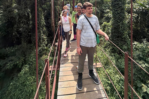 6 Hour Sinharaja Rainforest Tour
