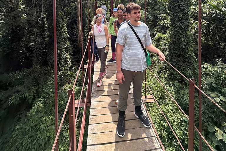6 Hour Sinharaja Rainforest Tour