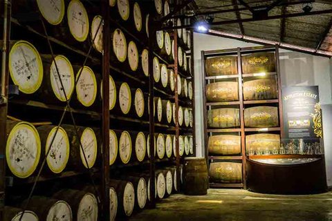 Appleton Estate Rum Tour: Full Day from Montego Bay