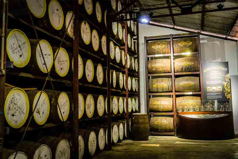 Visita a Appleton Estate Rum: Dia inteiro saindo de Montego Bay