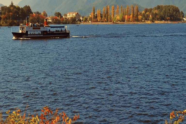 From Tokyo: Mount Fuji Full Day Customizable Private Tour