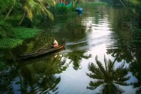 Excursion à terre ; croisière en bateau à moteur dans les eaux intérieures d'Alappuzha.