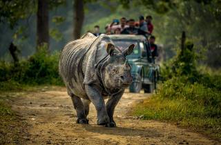 Von Kathmandu/Pokhara: 3 Tage All-Inclusive Chitwan Safari