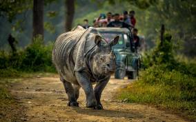 3 Days Chitwan Jungle Safari - All Inclusive Package