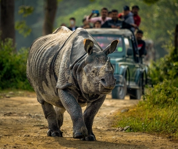 3 Days Chitwan Jungle Safari - All Inclusive Package
