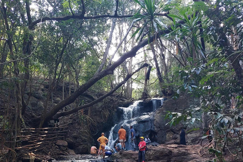 De Nairóbi: Trilha natural da floresta de KaruraDe Nairobi: Trilha Natural da Floresta Karura