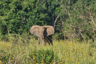 Day Trips and Tours from Mombasa