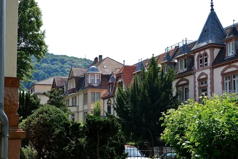 Tour guidato privato di Heidelberg da Francoforte in treno