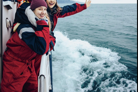 Húsavík: Whale Watching Tour with Heated Indoor Seating