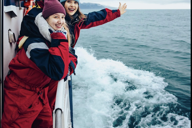 Húsavík: Whale Watching Tour with Heated Indoor Seating