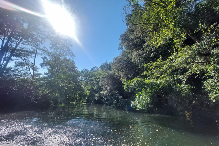 Santander: Guided boat tours of Santander Bay