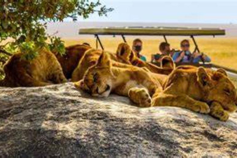 Nairobi: Wild Heritage Museum, Snake Park & Botanical Escape