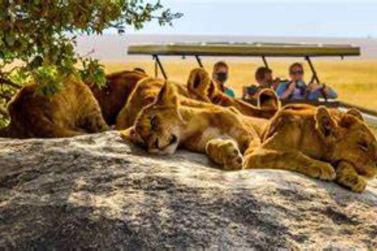 Nairobi: Wild Heritage Museum, Snake Park & Botanical Escape