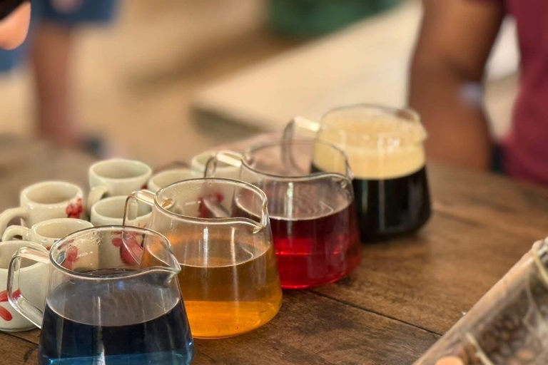 Chiang Mai: Doi Inthanon Pha Dok Siew Trek & Karen Culture