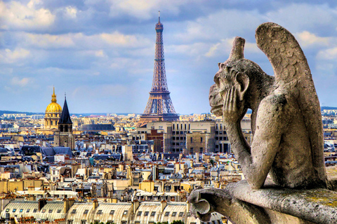 Paris: Notre-Dame Audio Guide + Archaeological Crypt Option Paris: Archaeological Crypt Ticket + Notre-Dame Audio Tour