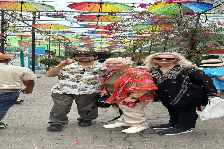 Tours de la ciudad de Puerto Plata