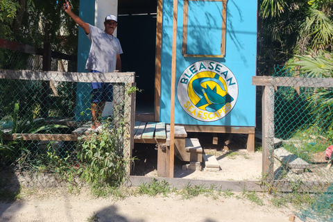 Caye Caulker Snorkeling & Secret Beach Day Tour