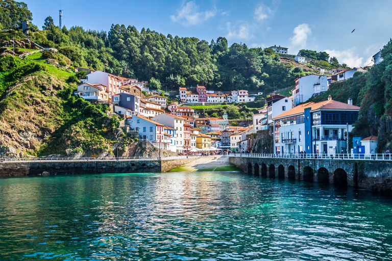 2026 Solar Eclipse Oviedo and Gijon: Luarca, Cudillero and Fonte Baxa Garden Solar Eclipse 2026: Sightseeing Tour in English from Oviedo