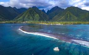 Tahiti: Teahupoo Wave Watching Tour