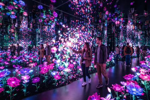 Tokyo: TeamLab Borderless & Imperial Palace History Tour - Image 2