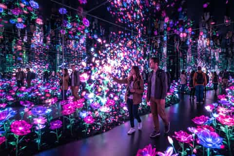 Tokyo: TeamLab Borderless & Imperial Palace History Tour - Image 3