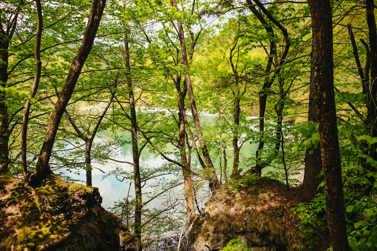 Vanuit Split of Trogir: Plitvice Meren Tour met toegangsbewijsPlitvicemeren: groepstour vanuit Split