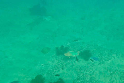 Fort Lauderdale: Ocean Reef Snorkel Tour w/ Snacks & Drinks