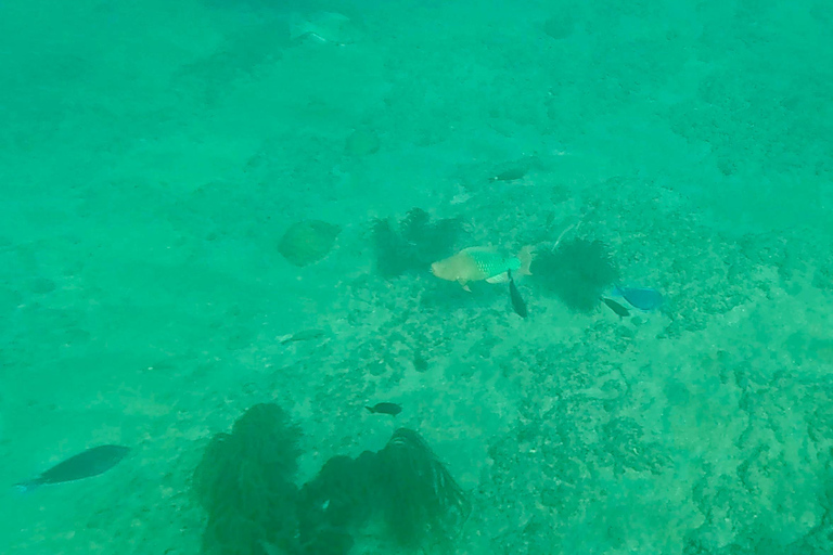 Fort Lauderdale: Ocean Reef Snorkel Tour w/ Snacks & Drinks