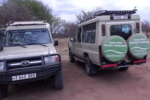 2-dniowy park Tarangire i krater Ngorongoro z Zanzibaru