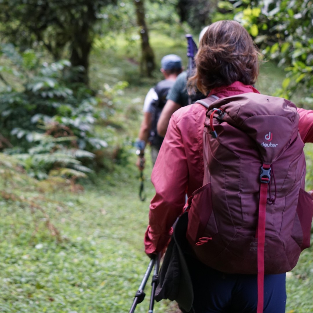 DEMOCRACTIC REPUBLIC OF CONGO Gallery, image size:1080x1080