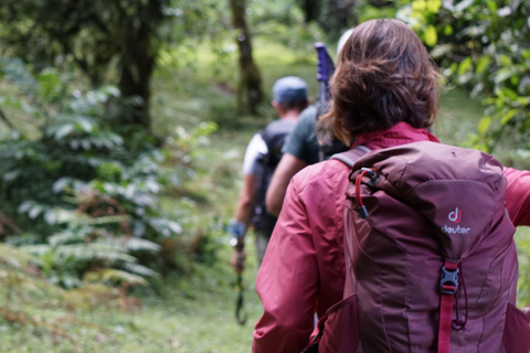 Moshi: *Com tudo incluído* Caminhada de um dia no Kilimanjaro (Rota Marangu)