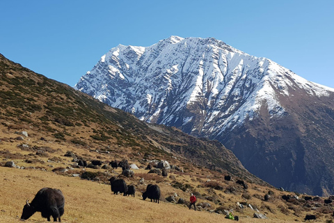 Tsum Valley Trek i Nepal - 14 dagar