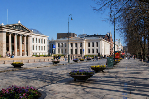 Oslo: From Fjord to Palace Walking Tour