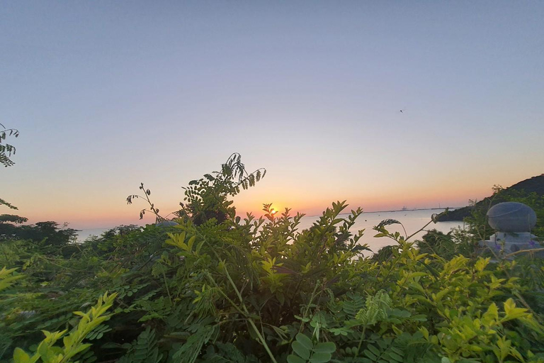 Half day Hiking Cat Ba National Park With guide